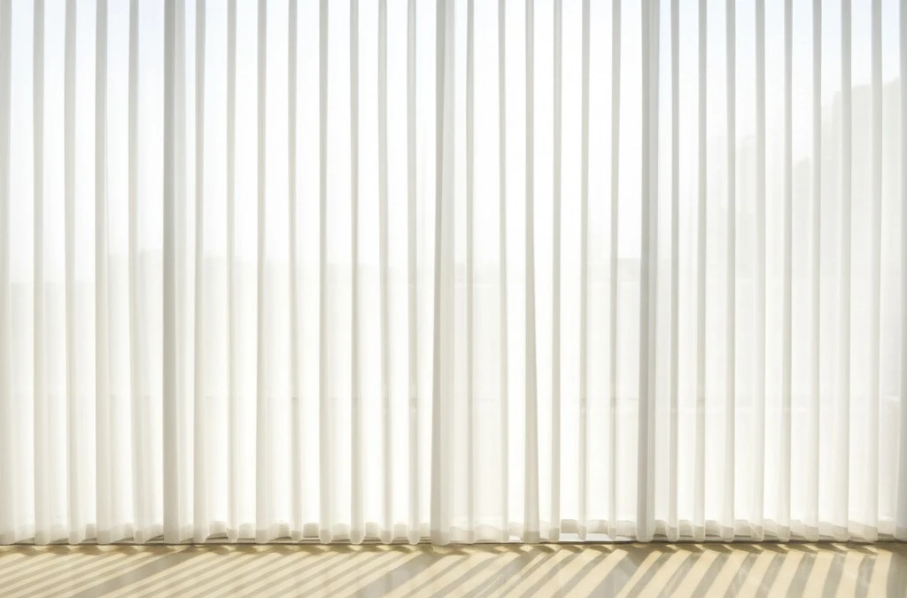 Natural Light Focus for Japandi Living Room