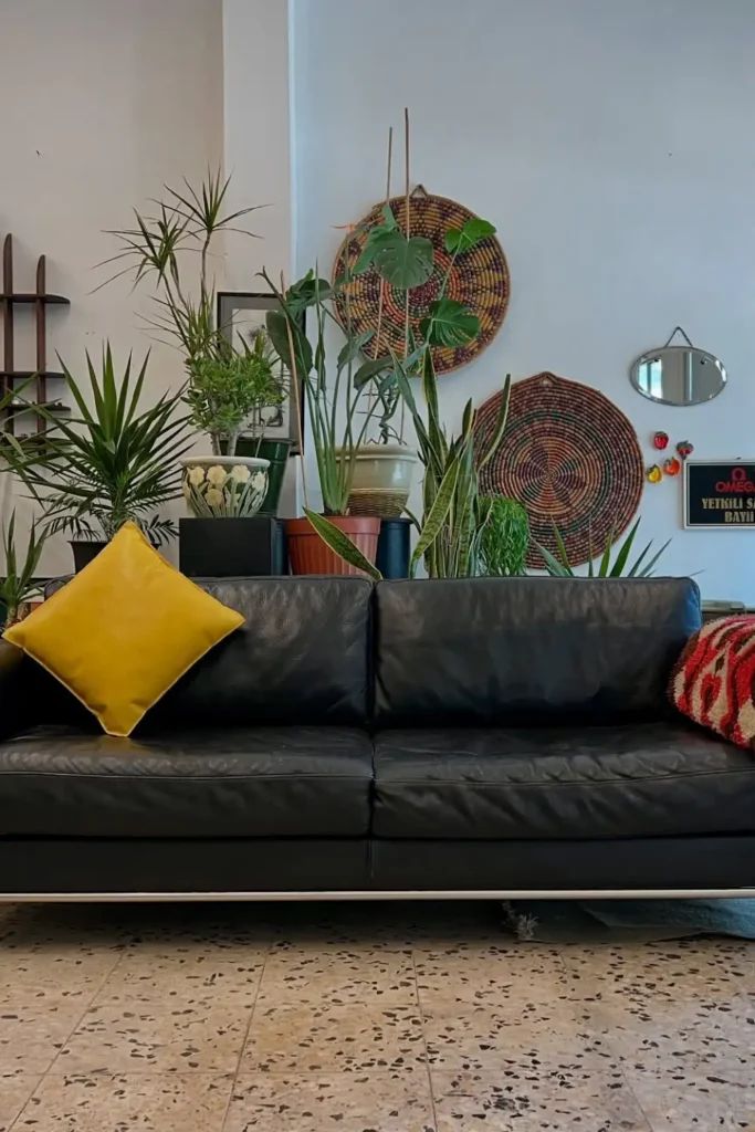 Vintage Leather Sofas